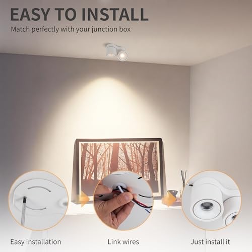LED Dimmable Ceiling Spotlight 24W 5CCT White - 24 Watts