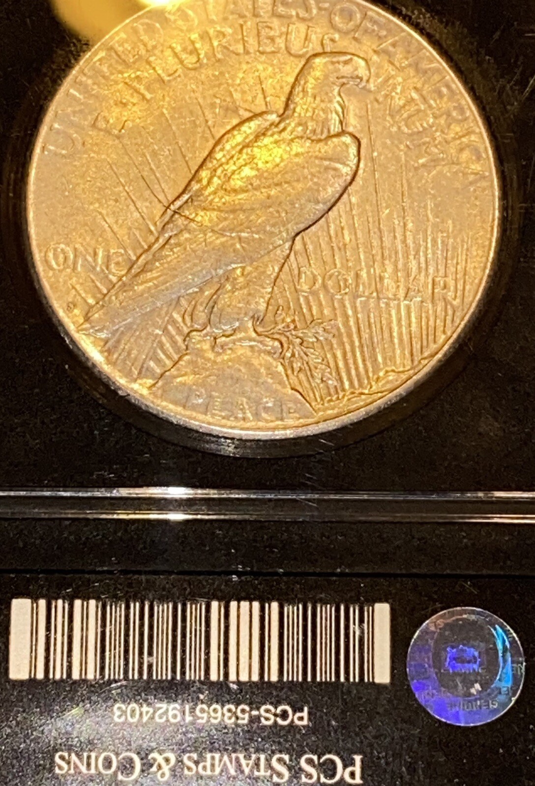 ⭐️1924-S⭐️GENUINE Silver Peace Dollar⭐️HIGH GRADE⭐️