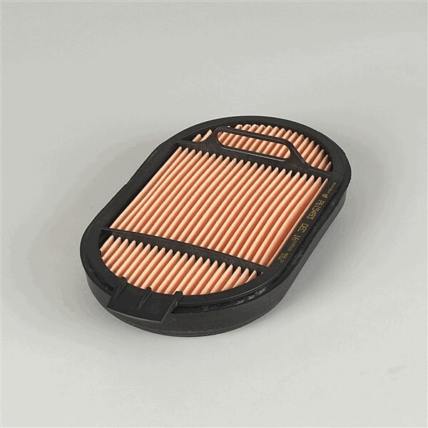Donaldson P615493 Air Filter Safety Obround