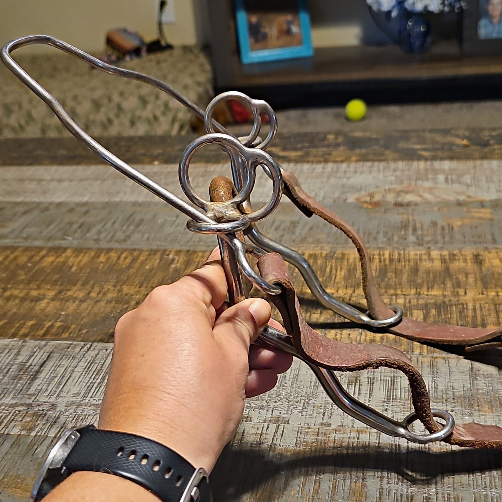 Trammell Steel Nose Grazing Bit