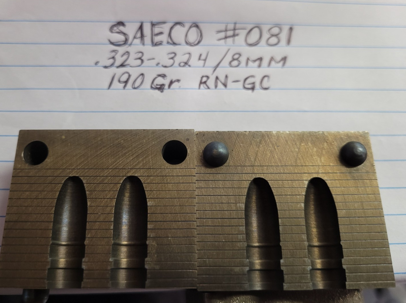 SAECO Double Cavity Molds **MULTIPLE AVAILABLE - YOU PICK***