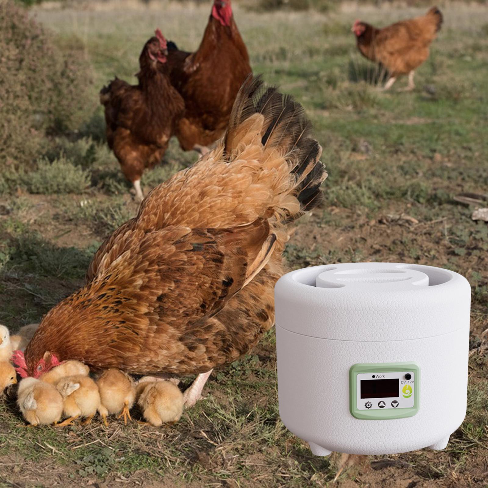 Eggs Brooder Chicken Hatcher Hatching Machine Temperature Control Digital