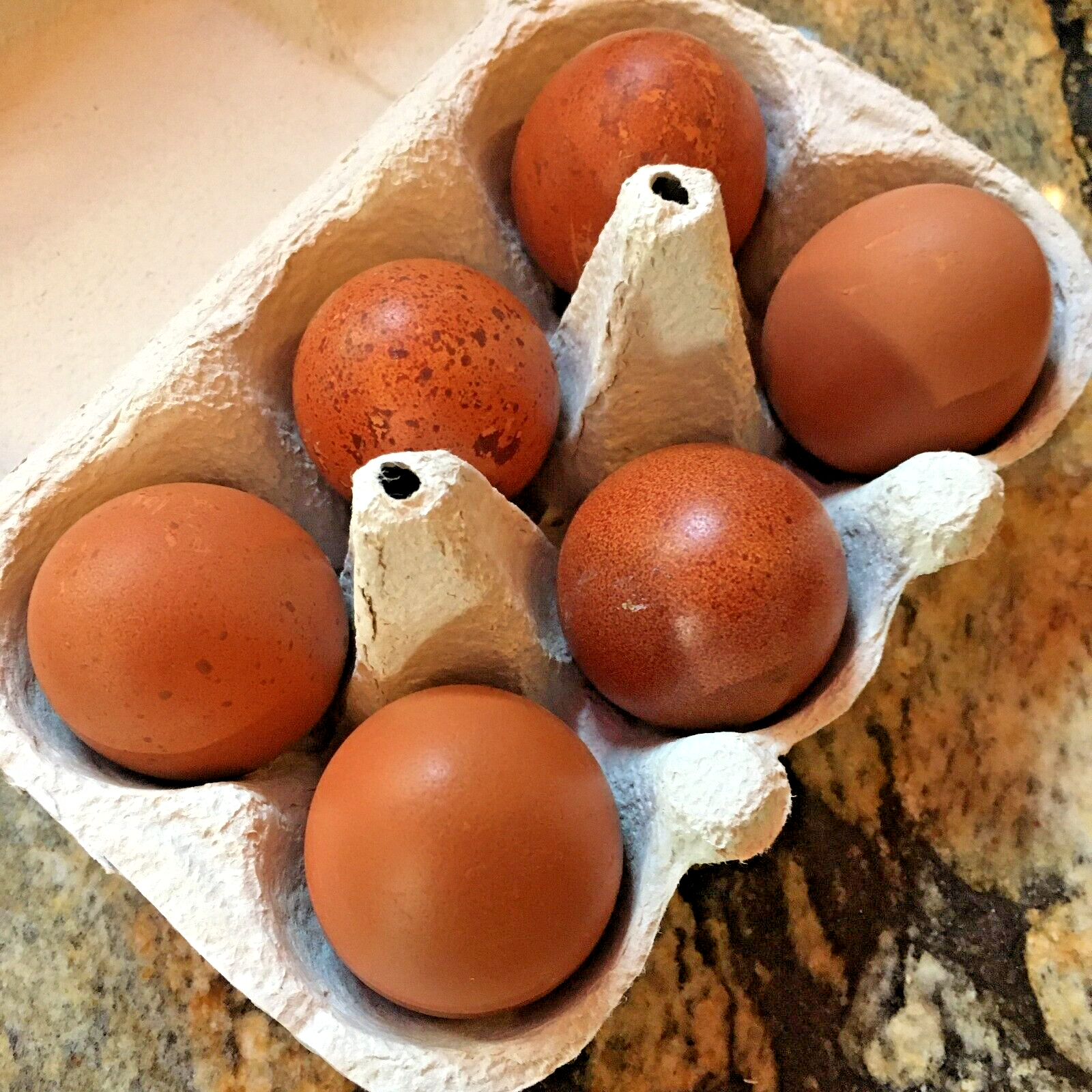 10 Custom Select Chicken Hatching Eggs - You Choose - See Description for Breeds