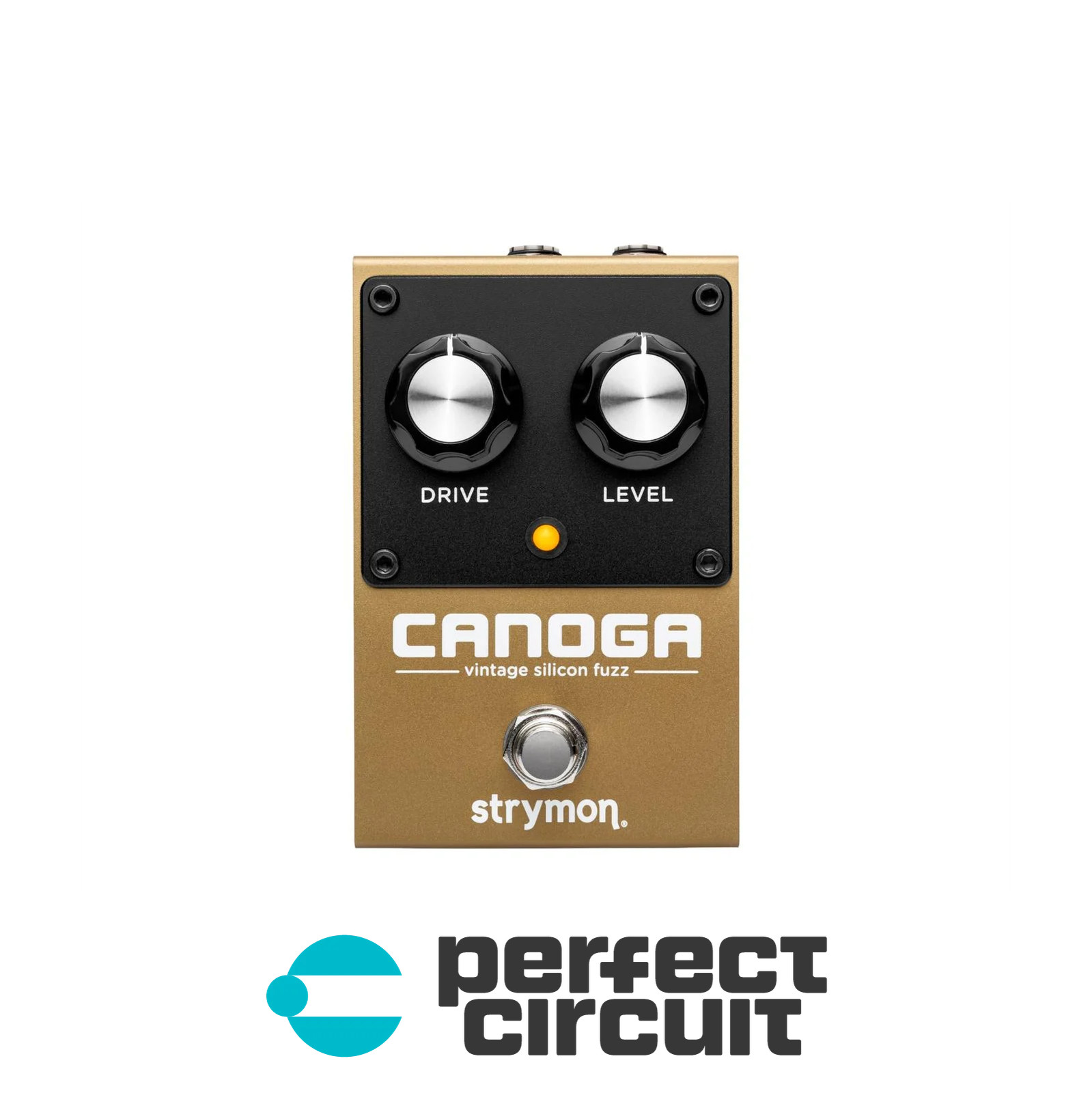 Strymon Canoga Analog Two-Knob Fuzz Pedal EFFECTS - NEW - PERFECT CIRCUIT