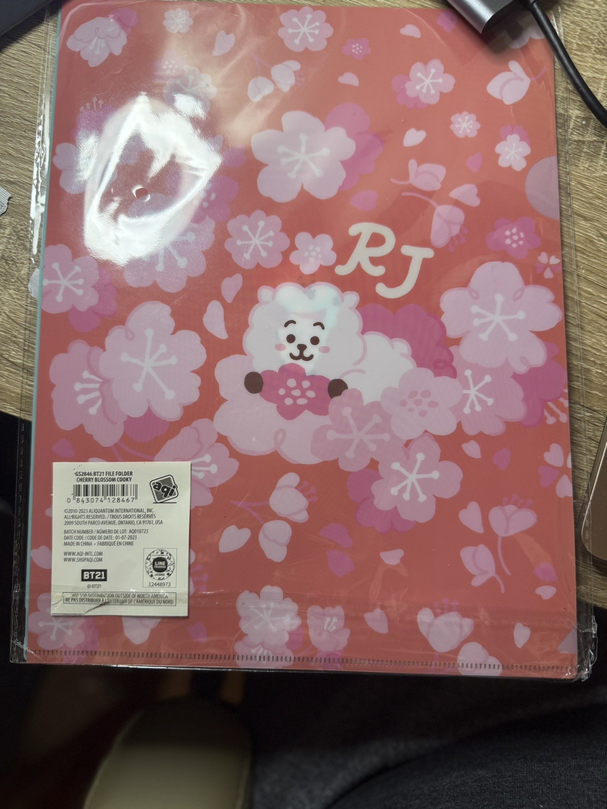 Folder Divider BT21 File Folder Cherry Blossom Edition Cooky and RJ