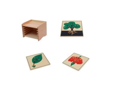 Materials Botany Puzzle Cabinet (3 Puzzles Included)