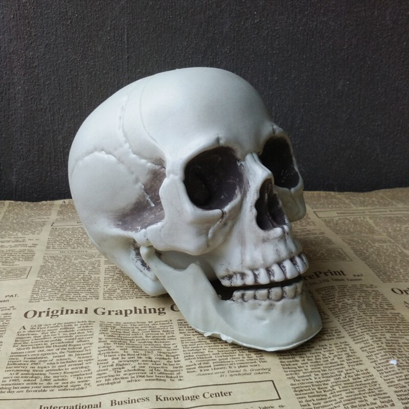 Halloween Skull Prop Realistic Human Head Skeleton Haunted House Horror Decor