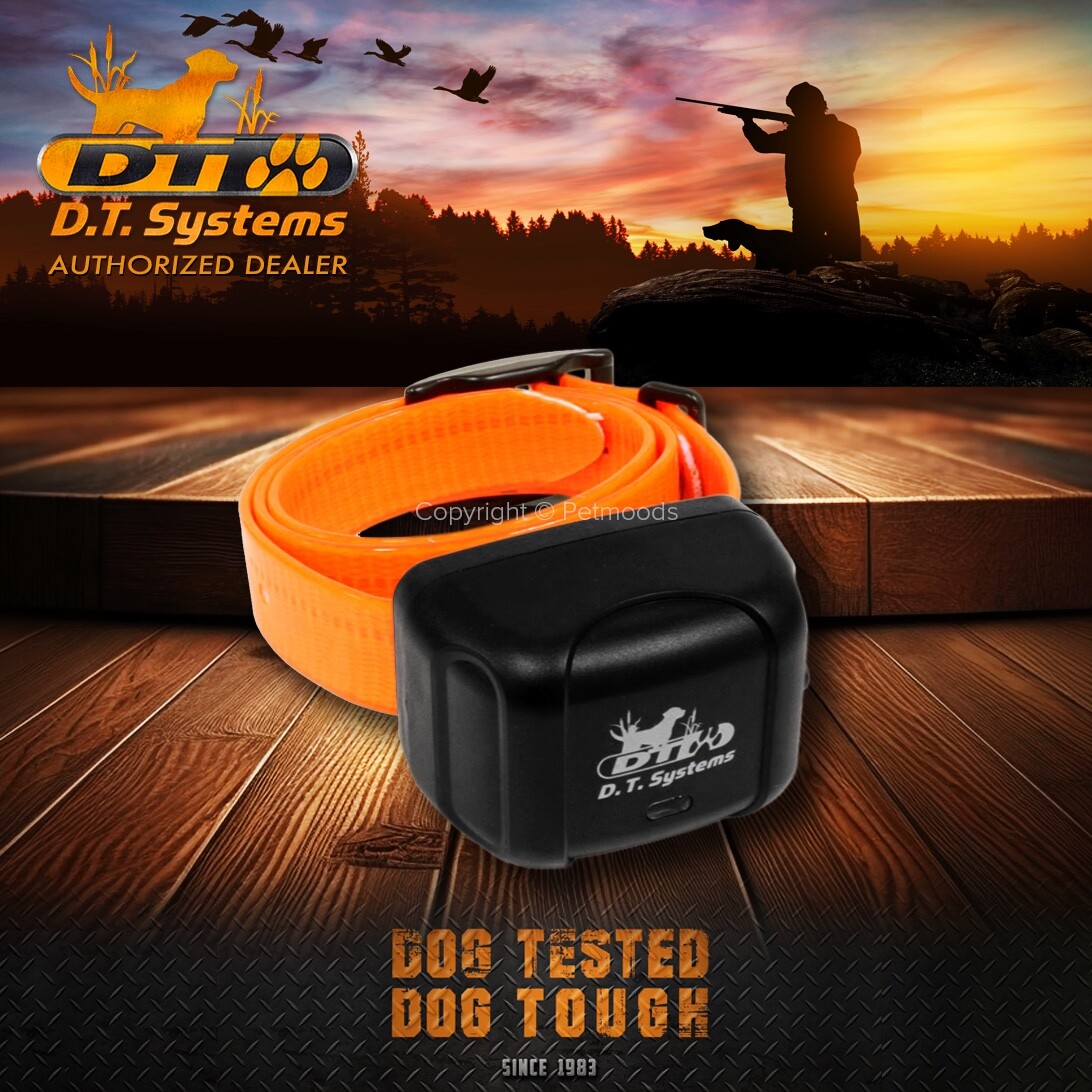 DT Systems RAPT 1400 Orange Add-On Collar Dog Receiver MAXX-Range 360°
