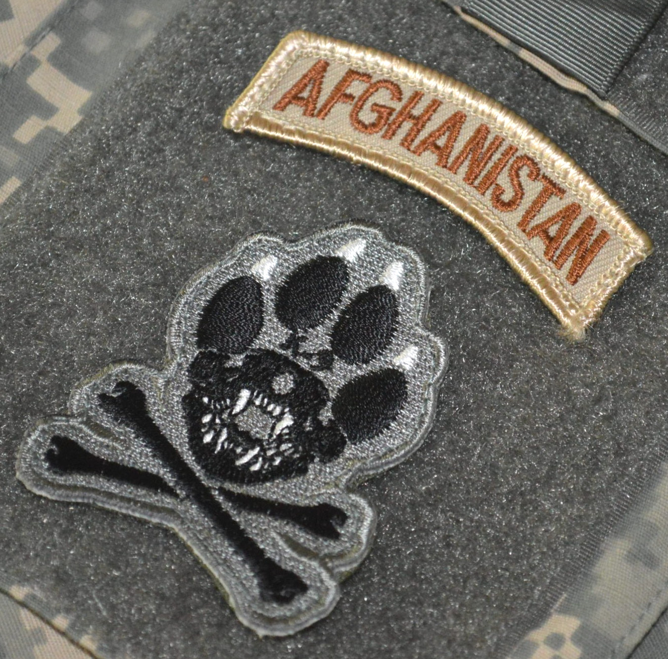 USMC EOD EXPLOSIVE DETECTION CANINE K-9 vêlkrö ACU 2-TAB: AFGHAN + DOG PAW PRINT