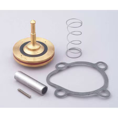 Dayton 066056 Valve Rebuild Kit, With Instructions