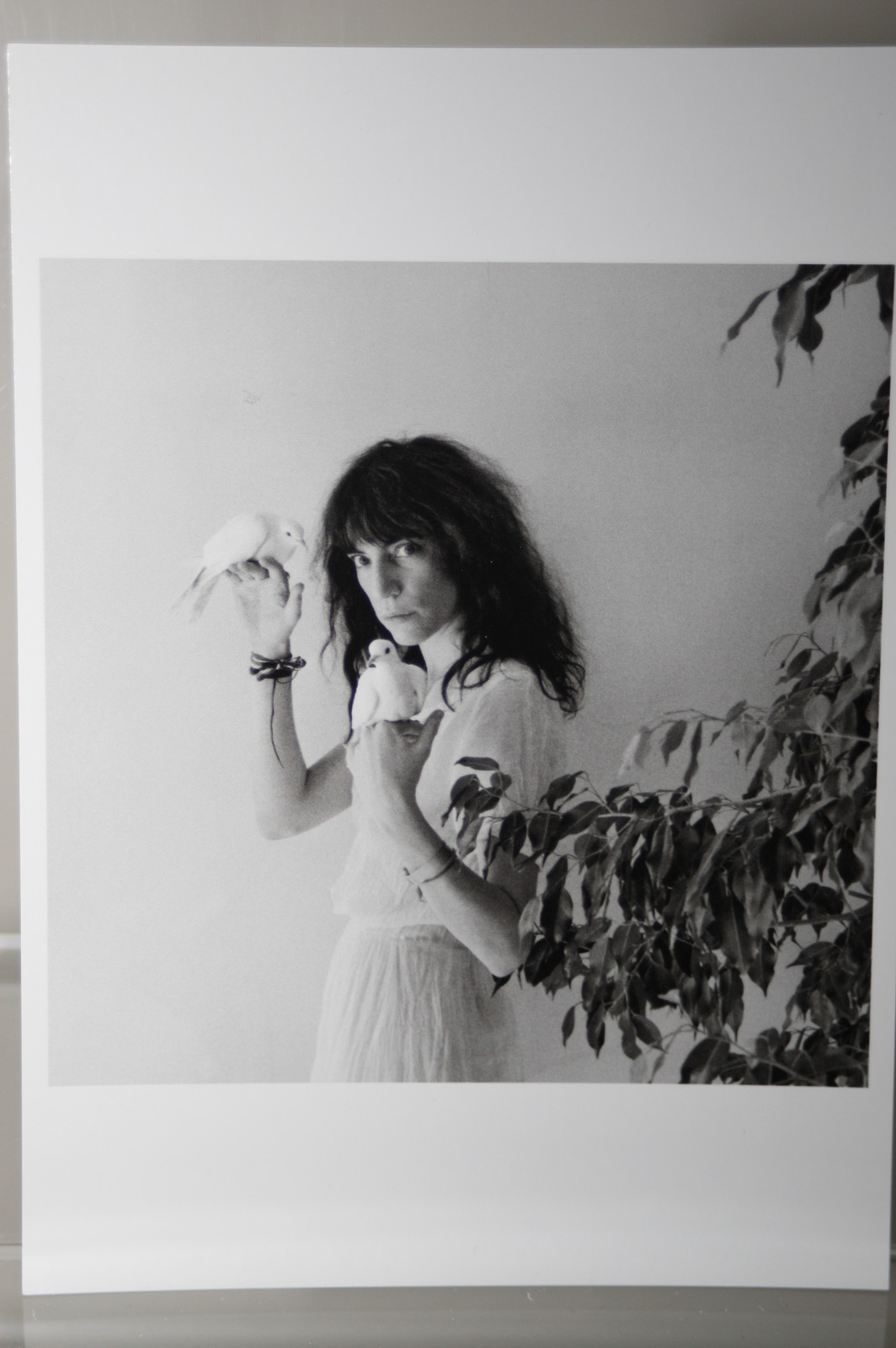 ROBERT MAPPLETHORPE: PATTI SMITH,1979, Art Postcard