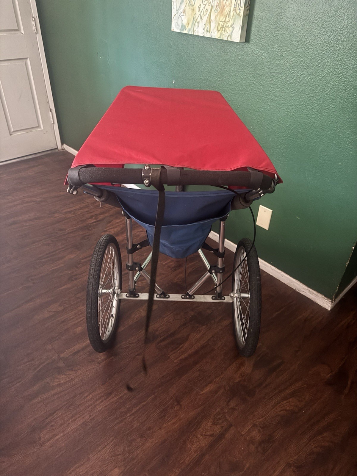 Baby Jogger Running Stroller