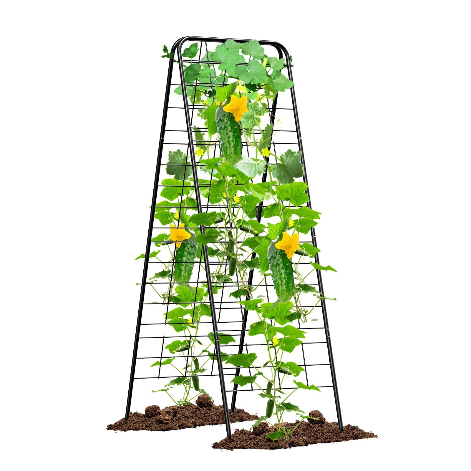 Heavy Duty Cucumber Trellis，50"x17" Adjustable A-Frame Trellis for black