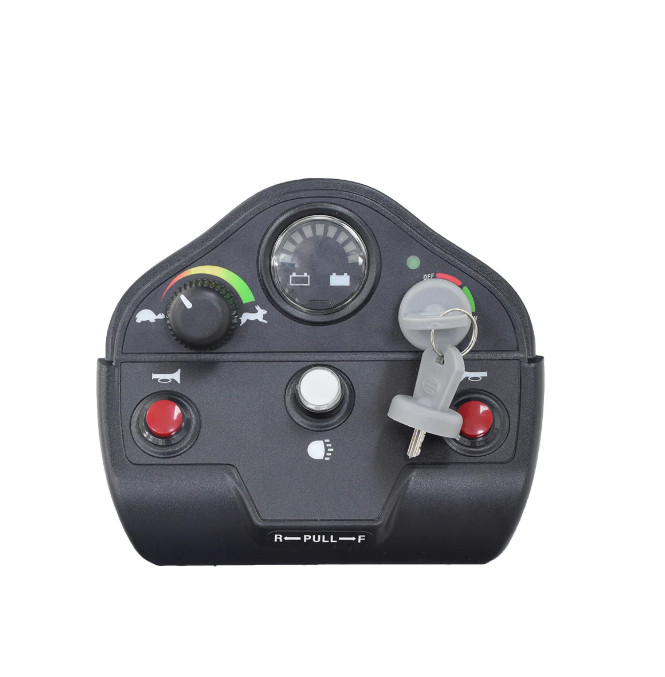 NEW Golden Companion Dash Console & Keys SE06E601