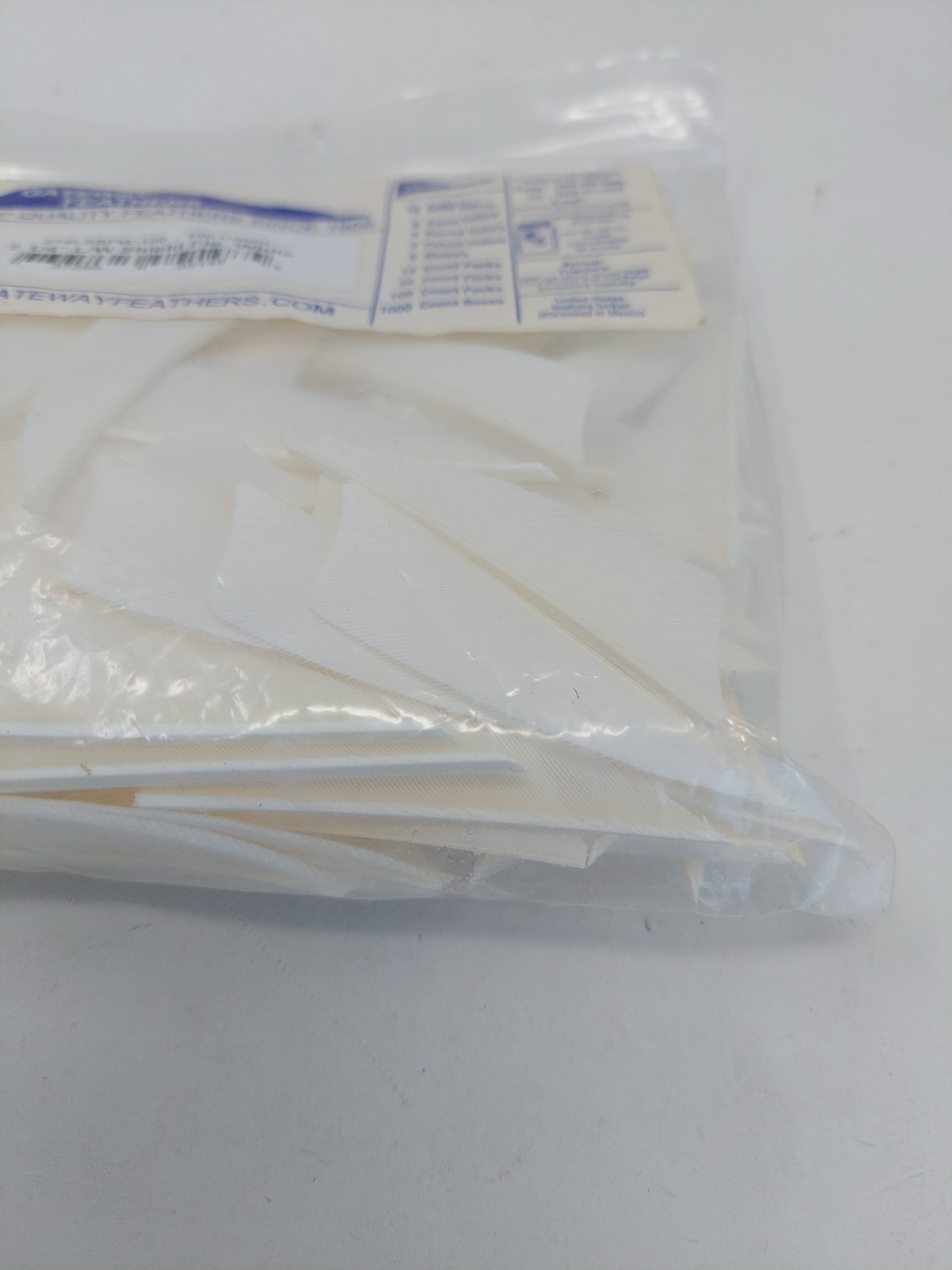 100 Pack Gateway Feathers 2.25" Left Wing: Shield Fluorescent White 214LSSFW-100