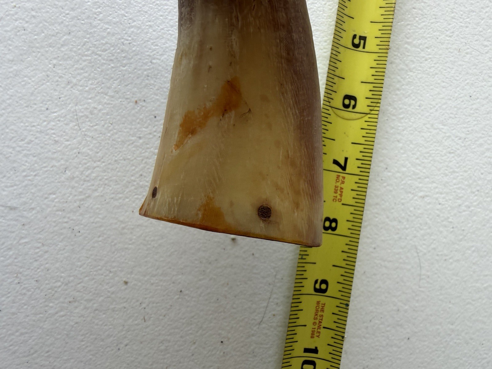 Powder Horn for Muzzleloader w/ Wood Stopper Plug Approx 9 in Long