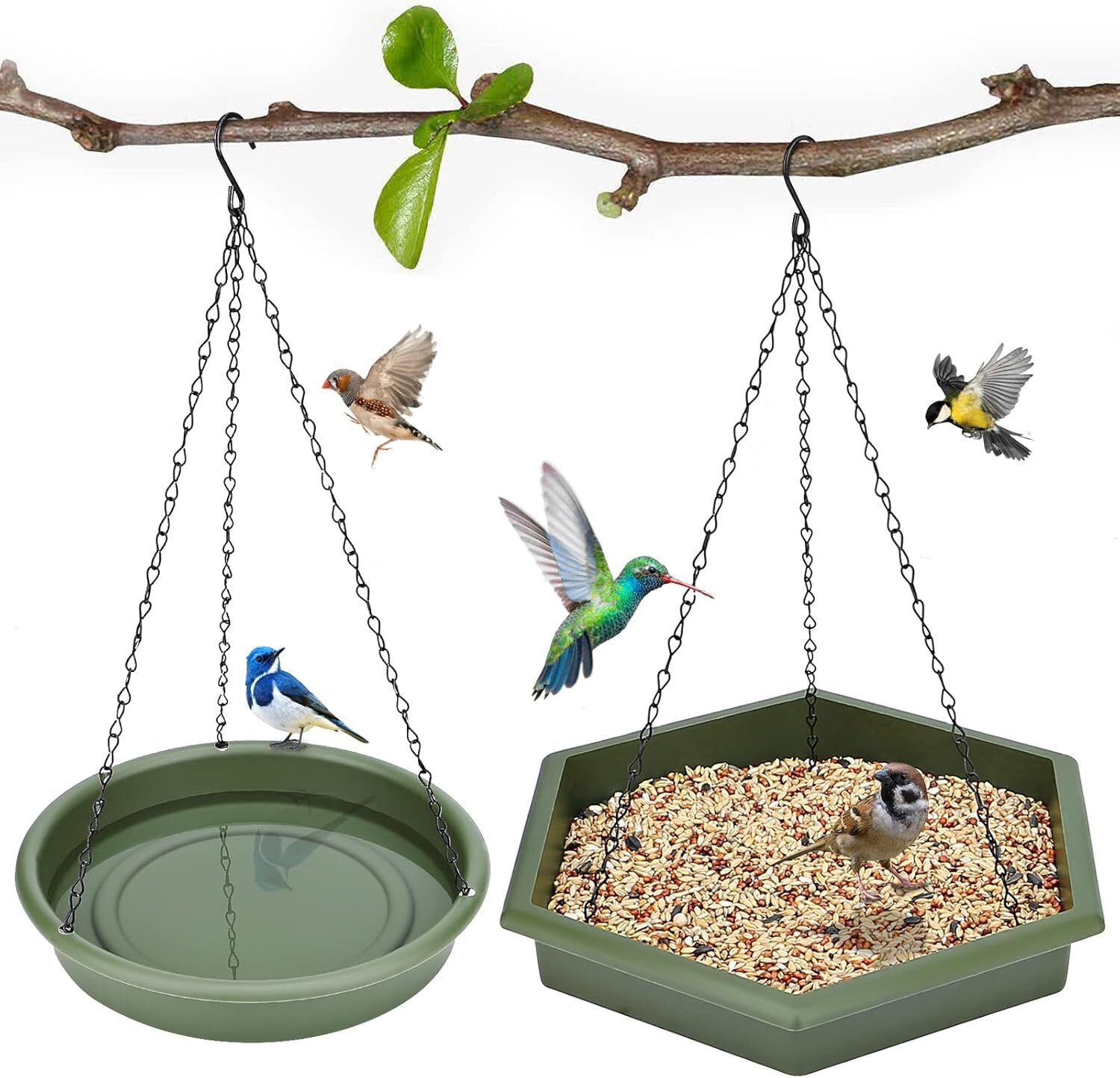 Hanging Bird Bath，Bird Bath - Feeder, 2 in 1 XL Green