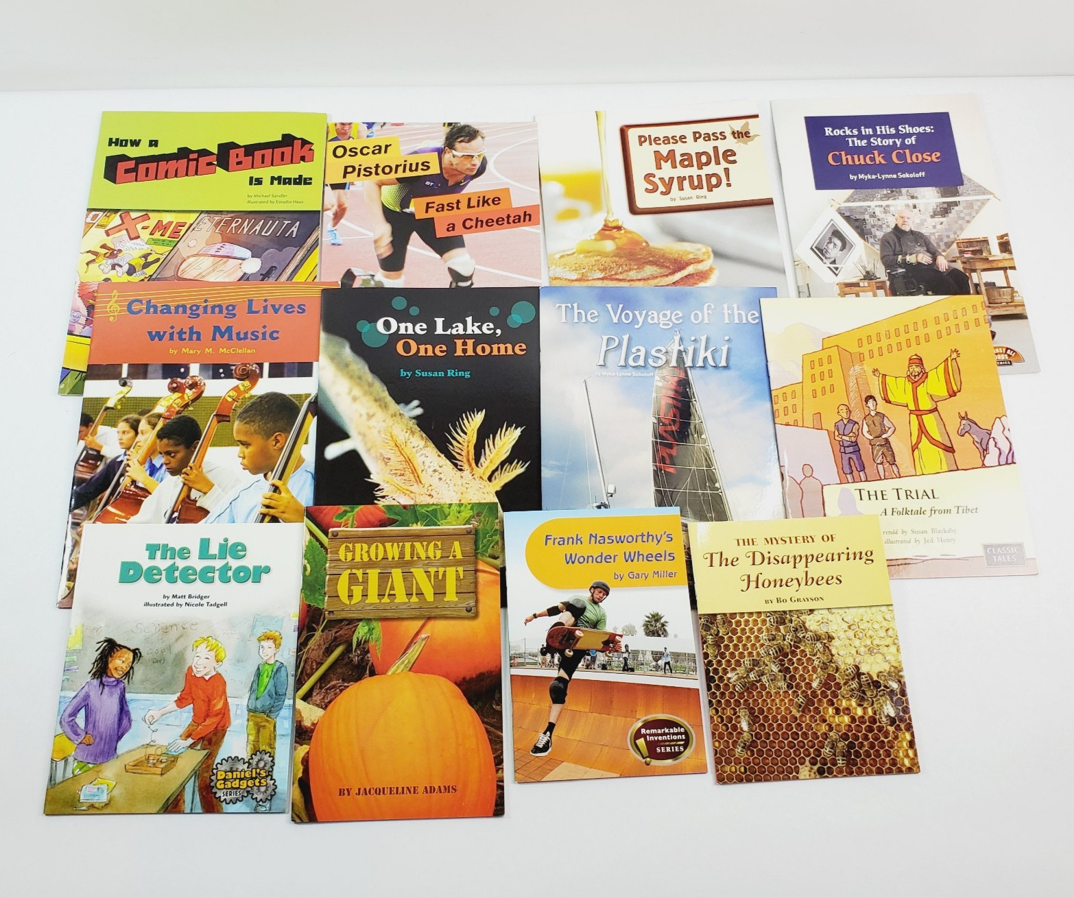 Lot of 12 Fountas & Pinnell LLI Red System Level P Leveled Literacy Readers