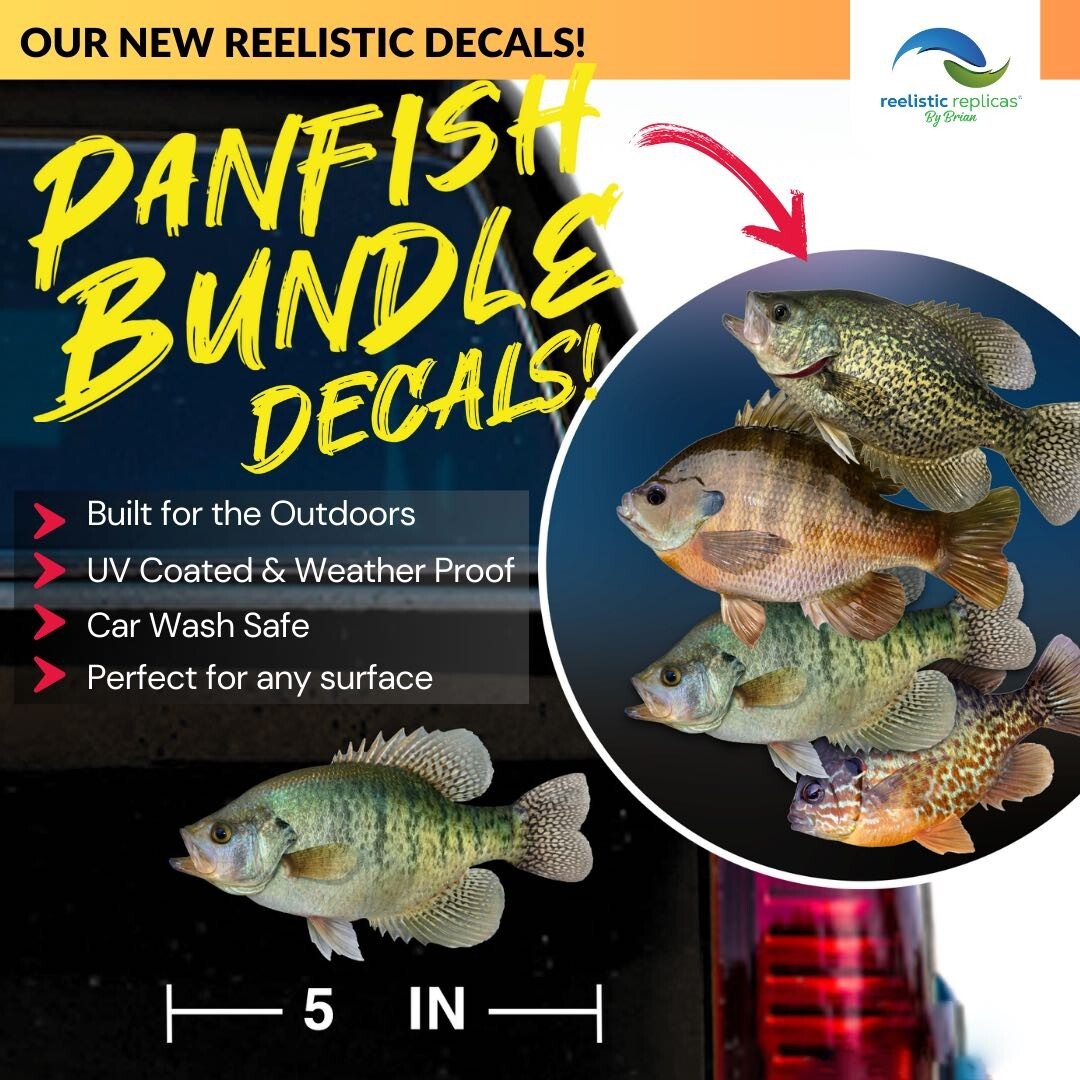 Panfish Decal Bundle – Waterproof Vinyl Stickers for Boat, Car, Tumbler -more