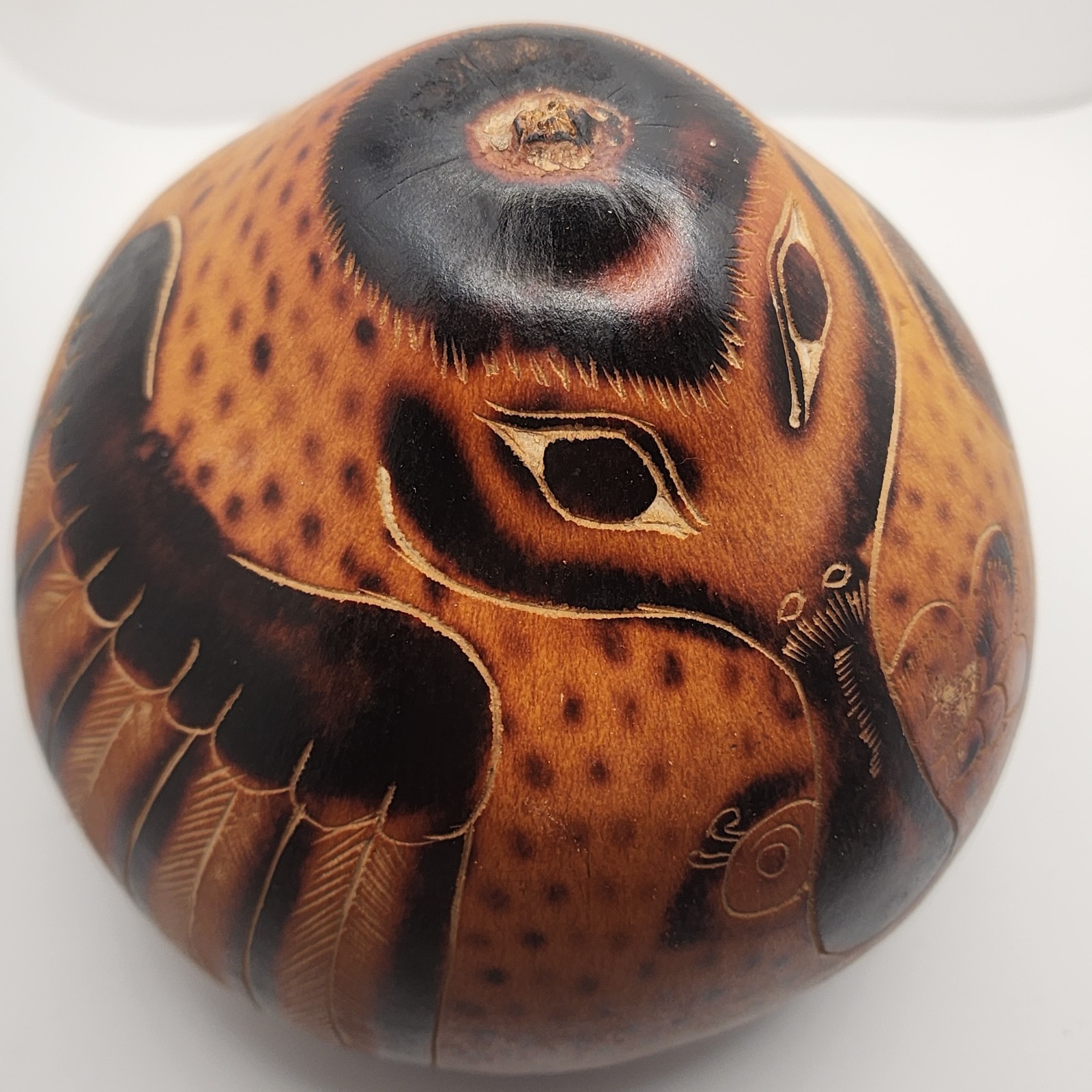 Peruvian Folkart Gourd Handmade Musical Shaker LG Bird Kingfisher 7.5IN W