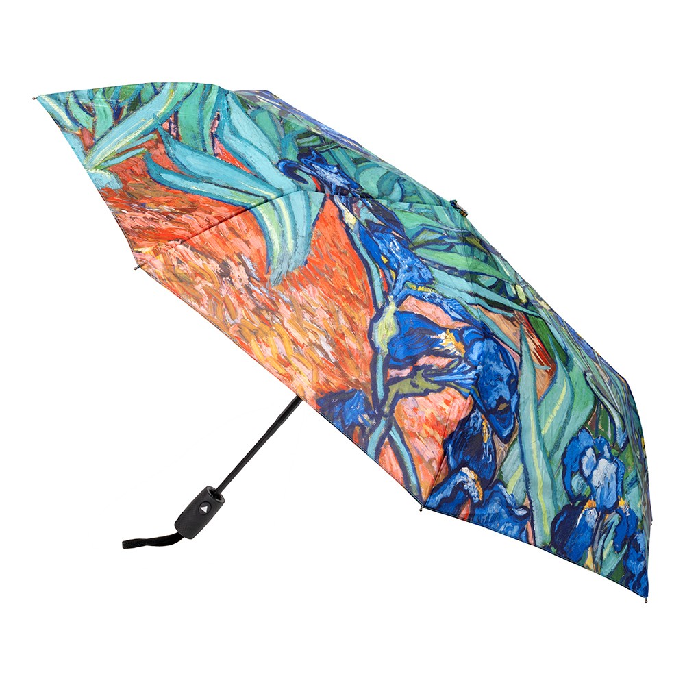 Clifton Auto Open Umbrella Iris