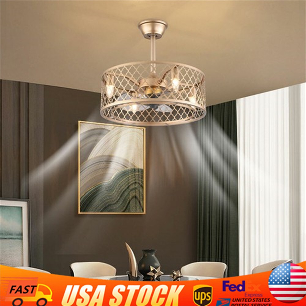 20" Industrial Ceiling Fan Light Cage Chandelier Lamp Fixture W/ Remote Bedroom
