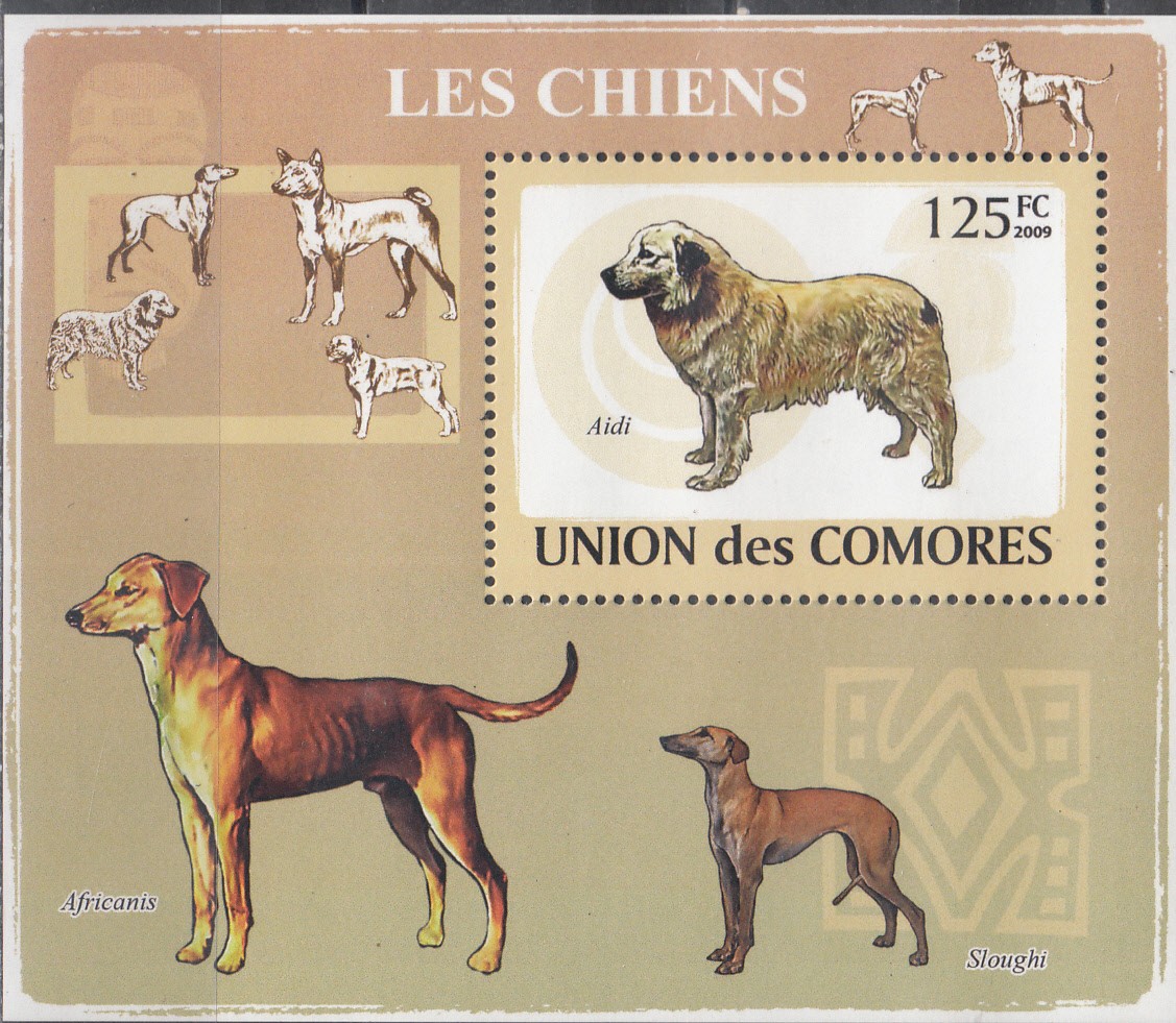 W COMORO Y2009 (51) (1) DOGS