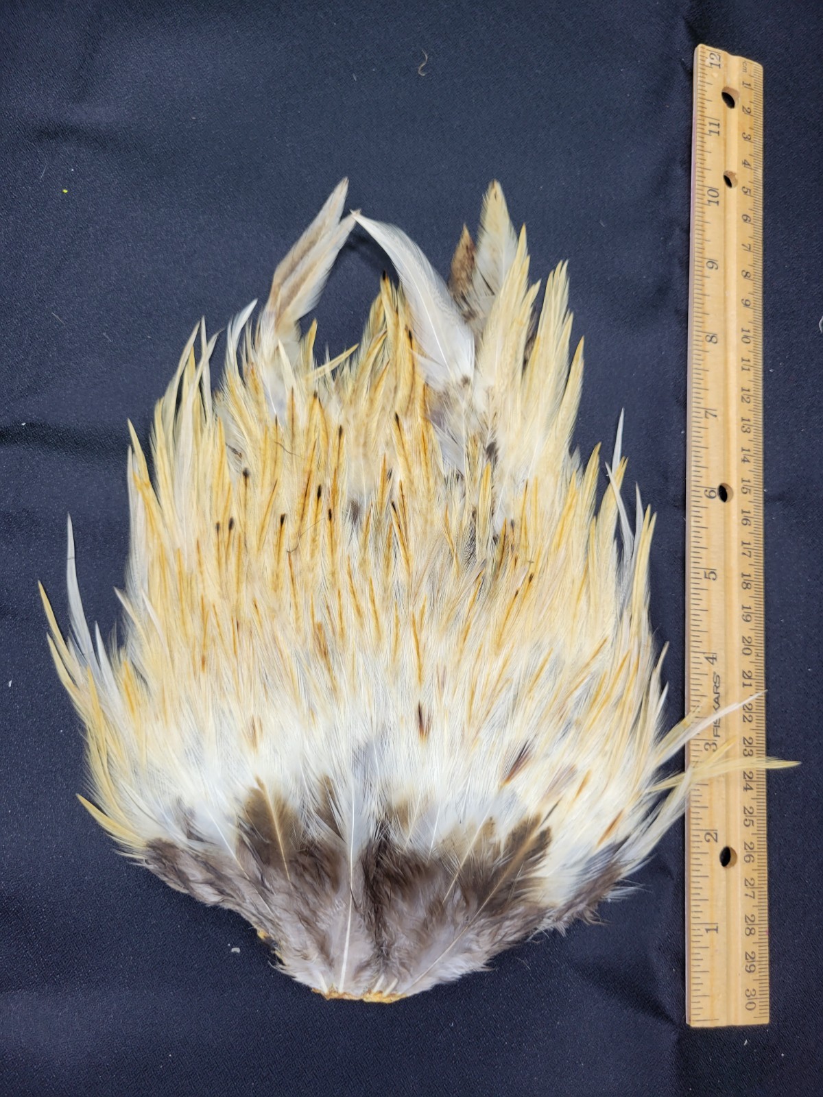 Lot  92,  Grade A,   Natural India Rooster Saddle Feathers for Fly Tying Jewelry