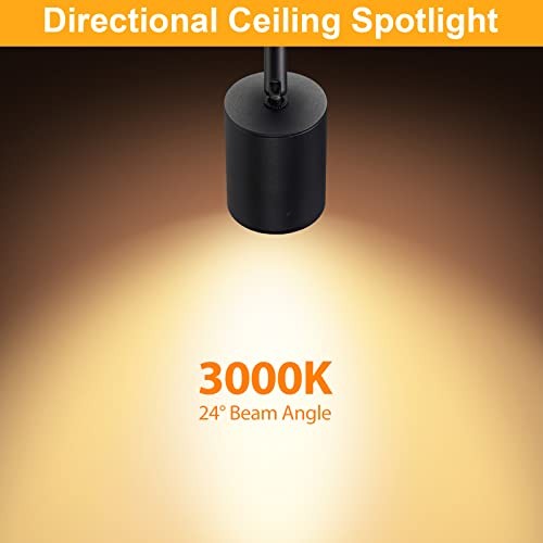 Flush Mount LED Ceiling Spotlight Dimmable Adjustable 2 Pack(3000K) Black