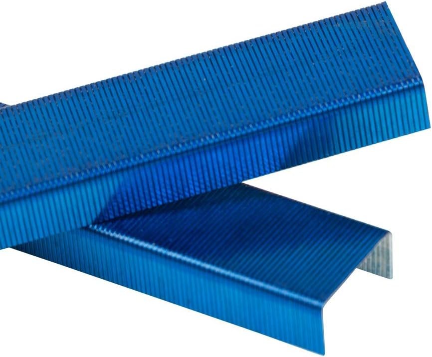 JAM PAPER Standard Size Staples Royal Blue 5000/Box