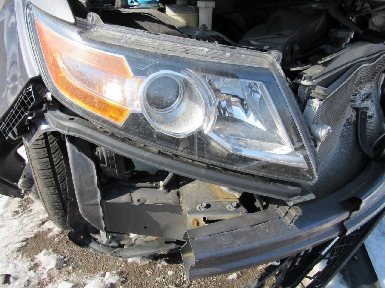 ODYSSEY 2015 Glove Box 1023264
