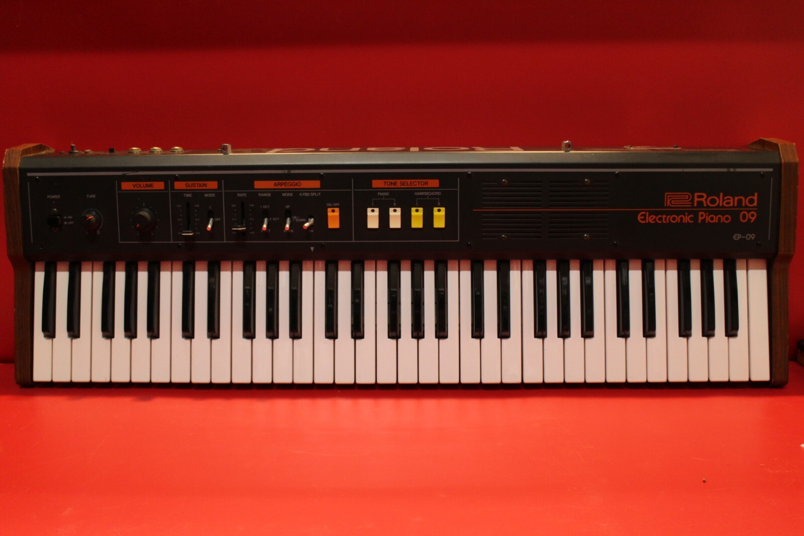 Vintage Roland EP-09 Electric Piano Arpeggiator worldwide shipment U2126 240118