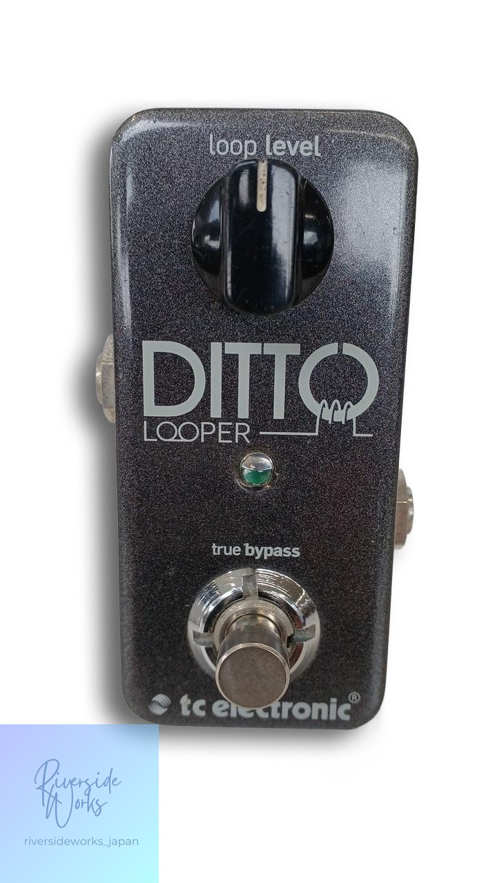 TC ELECTRONIC DITTO LOOPER Guitar Loop Pedal - Easy to Use JP