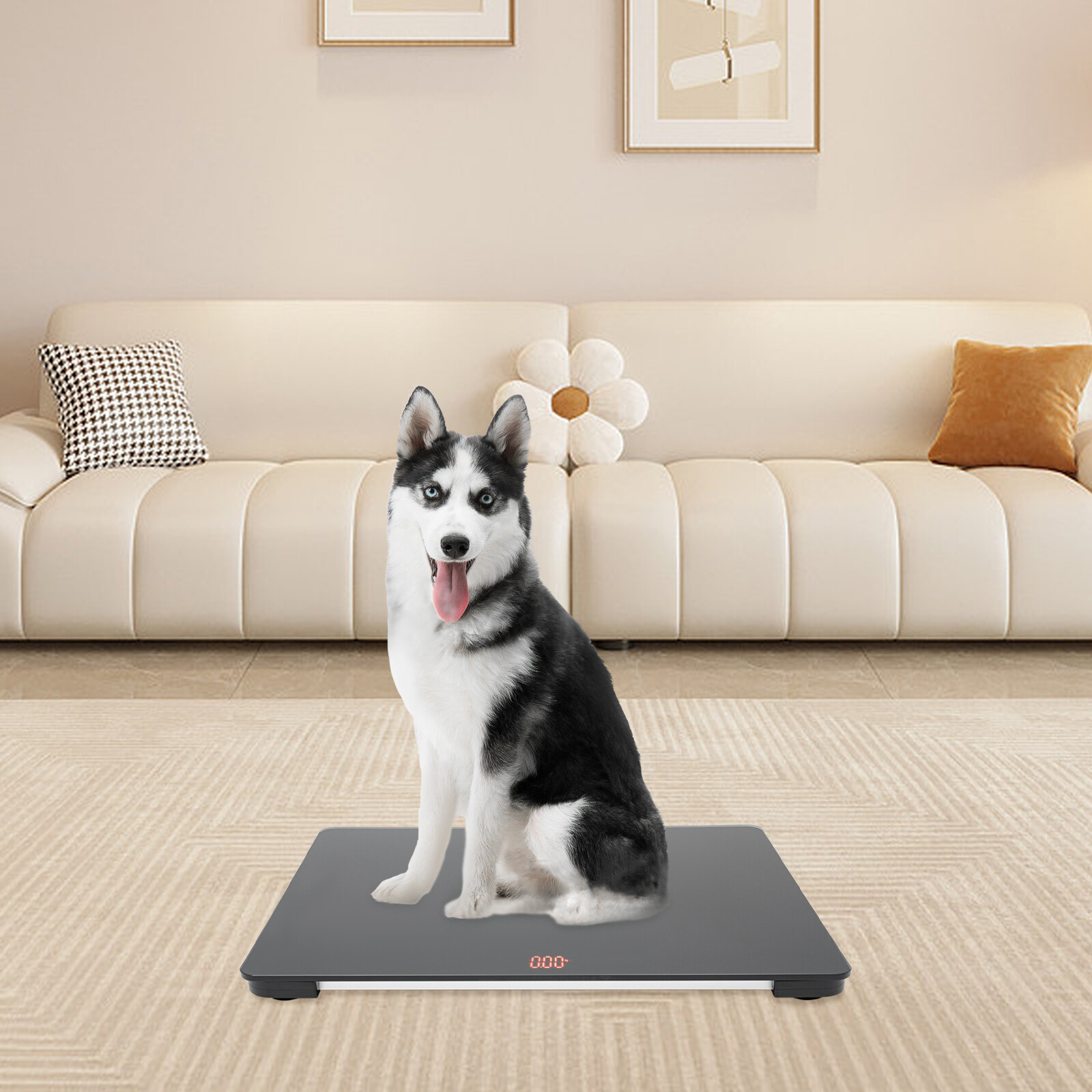 Small Pet Animal Scale G-Sensor LCD Weighing Scales for Pet Stores, Hospitals