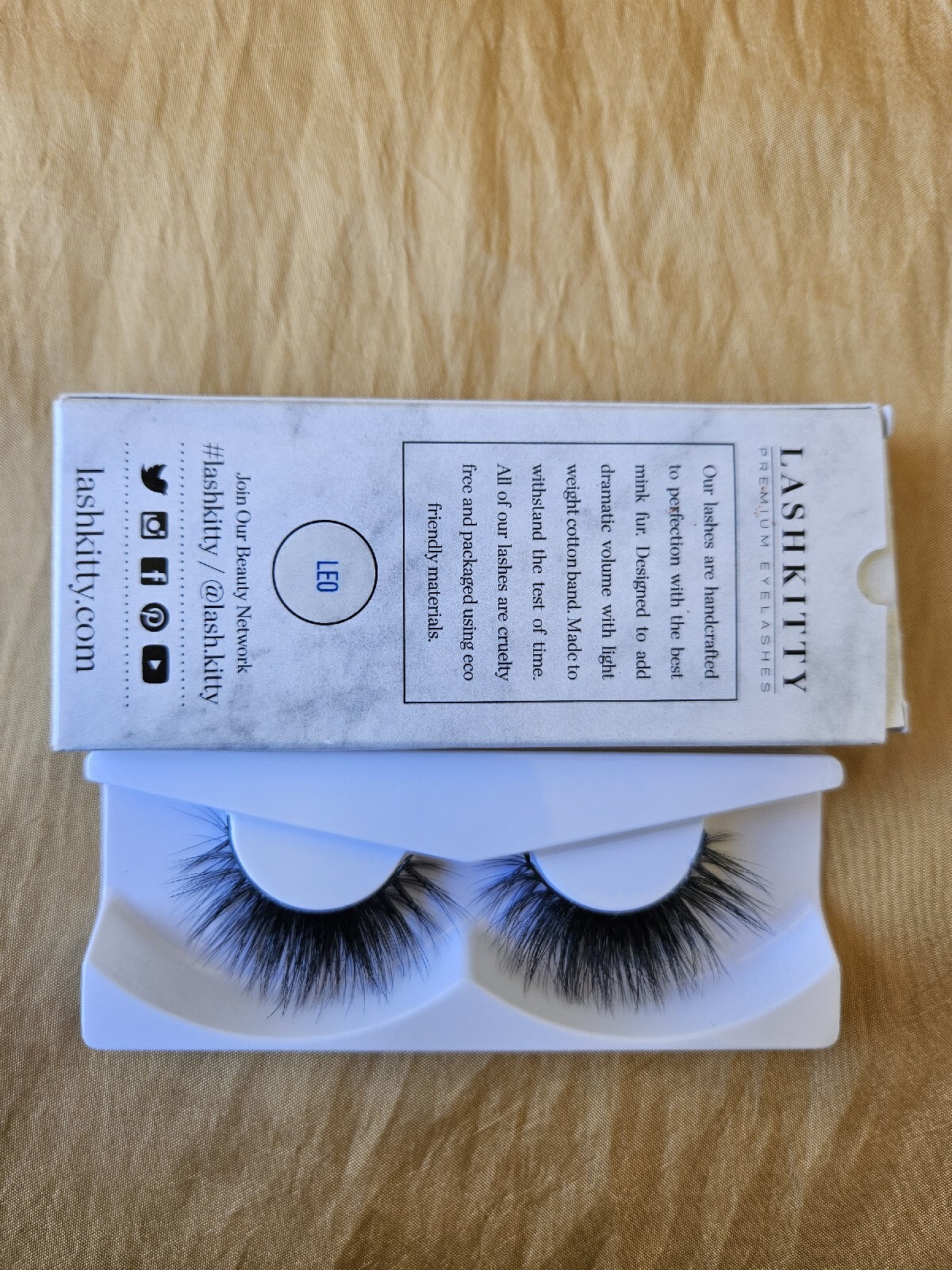 Lash Kitty In Leo