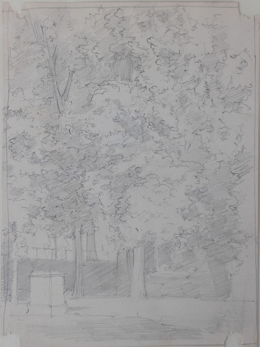 Park Tree Study Pencil Drawing 19th Century