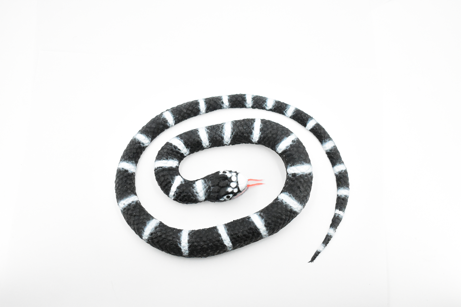 California King Snake, Coiled, Rubber Reptile Realistic Toy Model 26" F4436 B307
