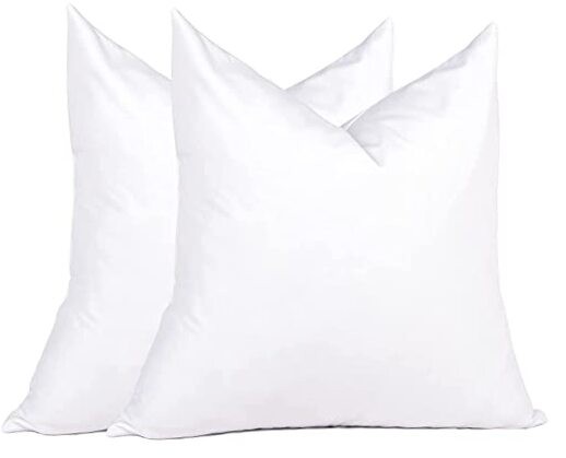 Euro Pillow Inserts4 x4 (Pack of White), Feather Down Pillow 24x24 Inch 2