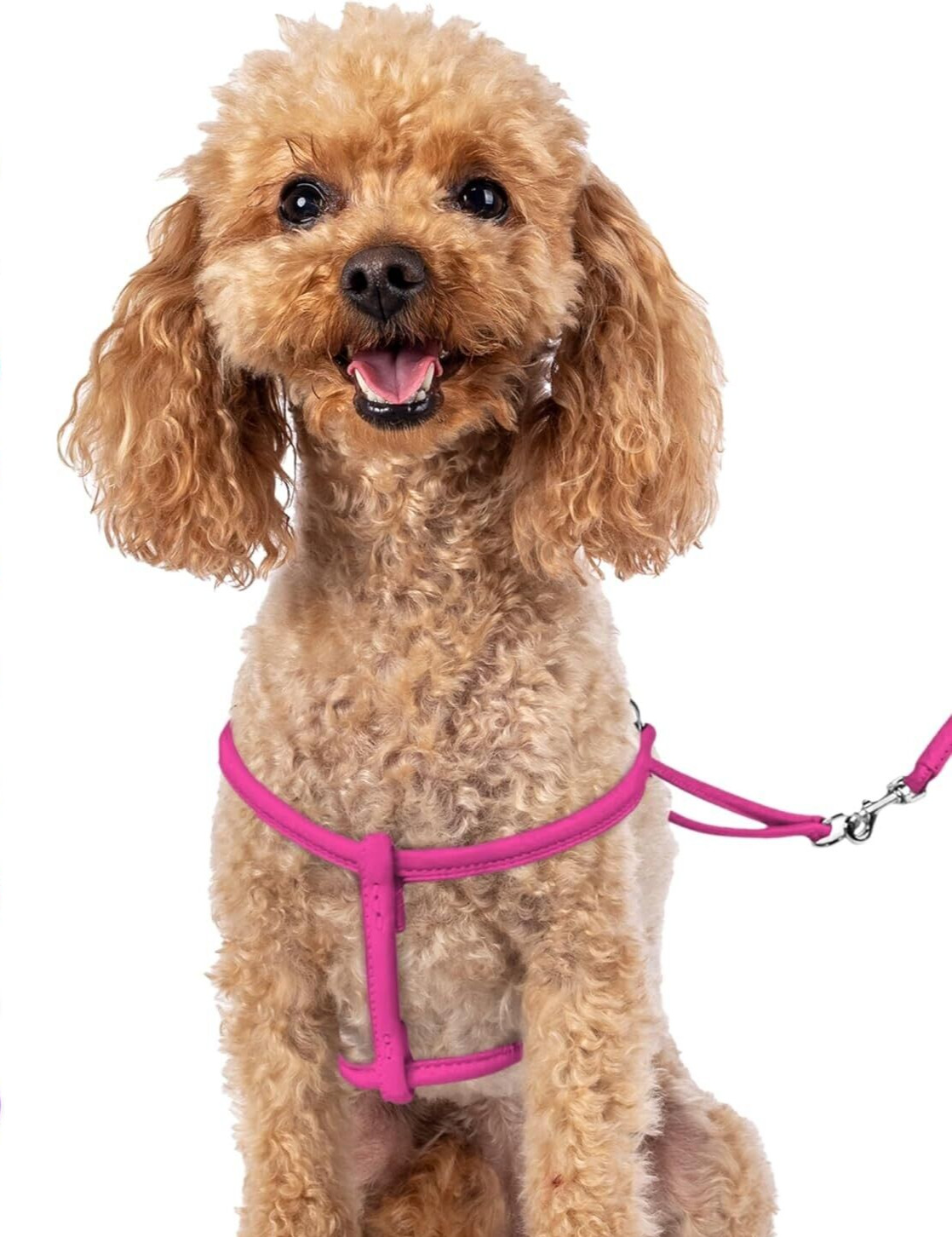 Rolled Leather Dog Harness And Leash Dogs PINK  Size XS