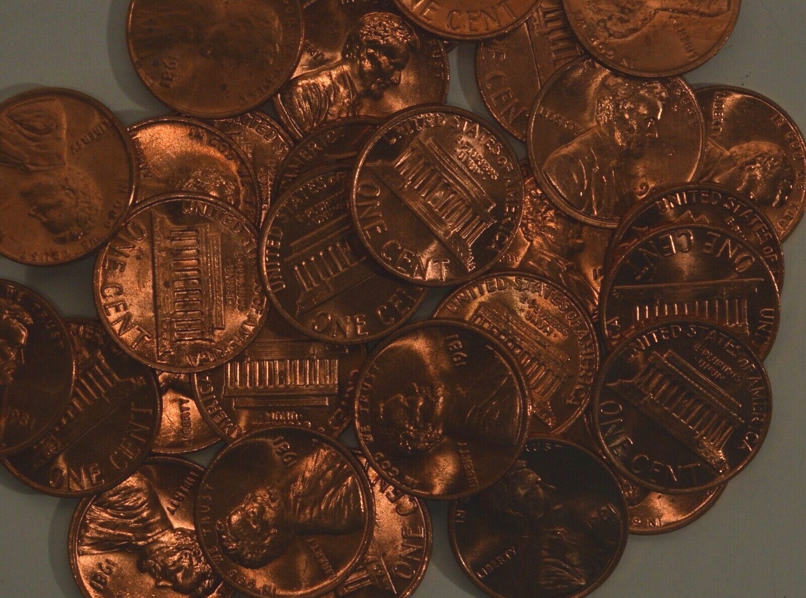 1981 P - USA Small Cents - UNCIRCULATED - from original mint bag  (50 coins)