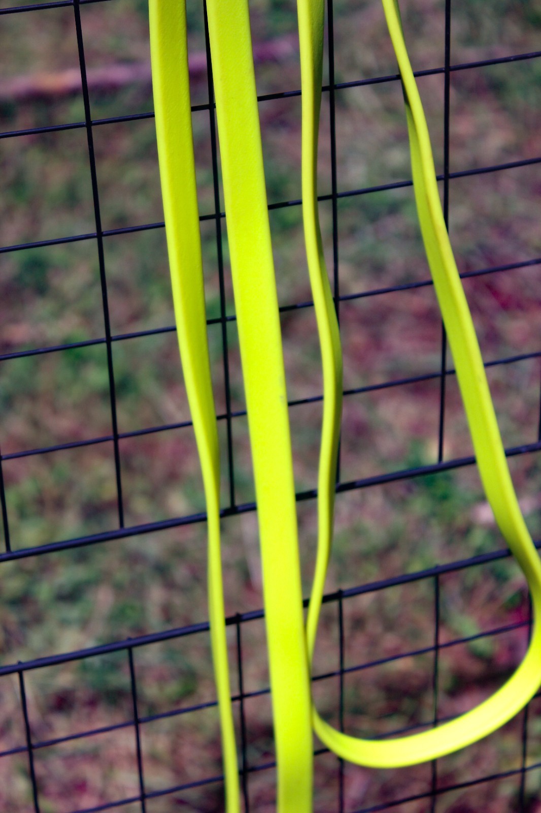 Biothane Loop Reins - Neon Yellow