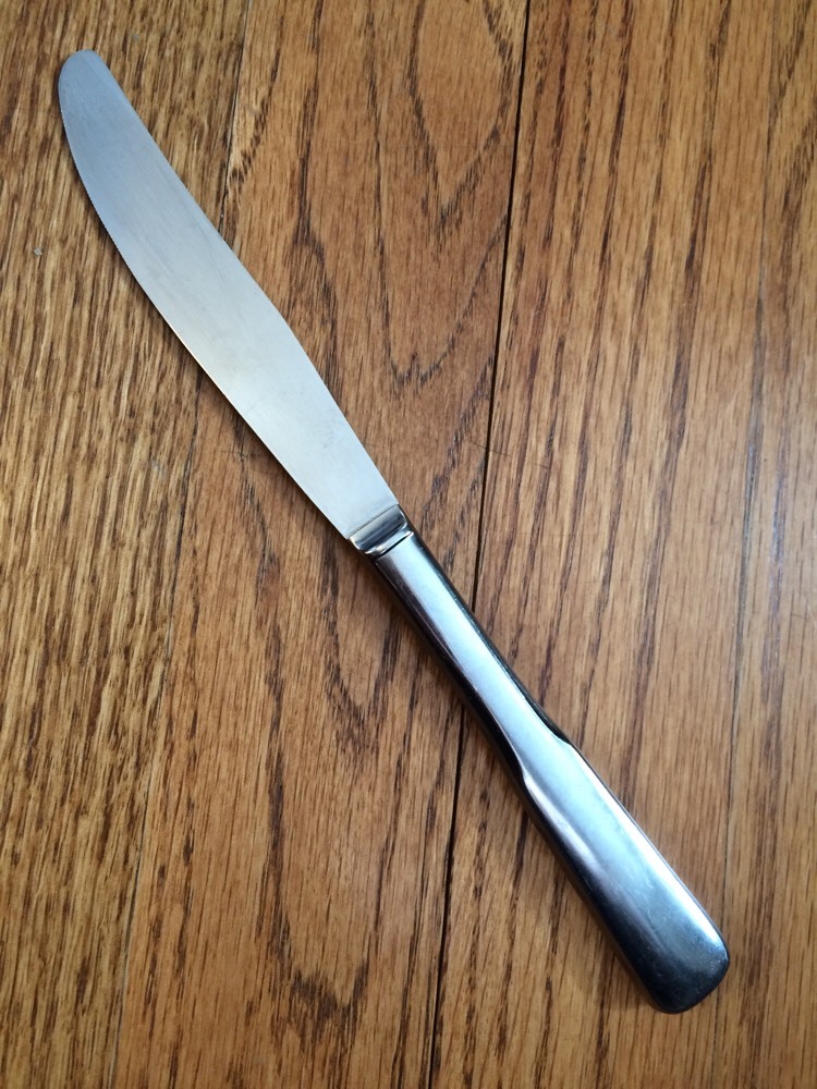 Wm A Rogers Oneida Stainless Glossy FRIENDSHIP HOLLOW DINNER KNIFE 8.5"