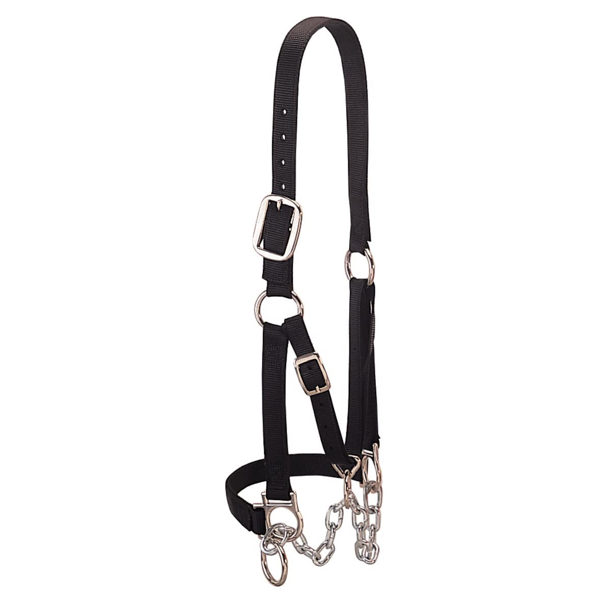 Weaver Livestock HeavyDuty Restraint Nylon Cattle Halter, Adjustable, Modern ...