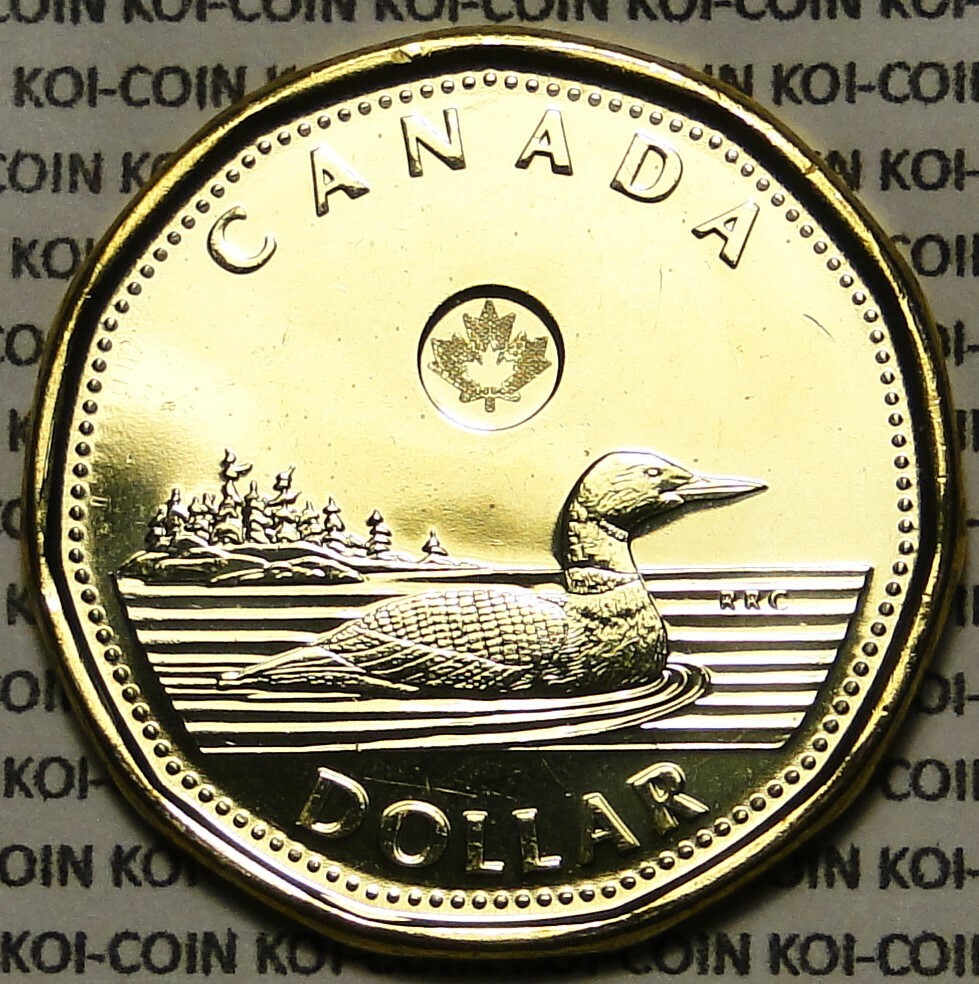 BU UNC Canada 2013 loonie $1 dollar coin brilliant uncirculated from mint roll