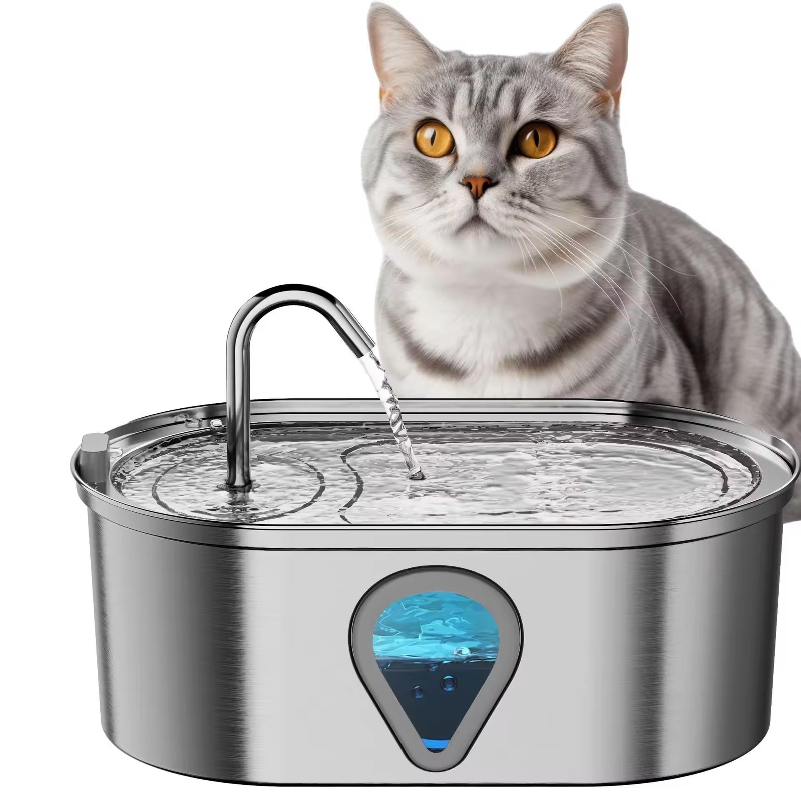 3.5L Automatic Pet Water Fountain Dispenser Stainless Steel for Cats & Dogs