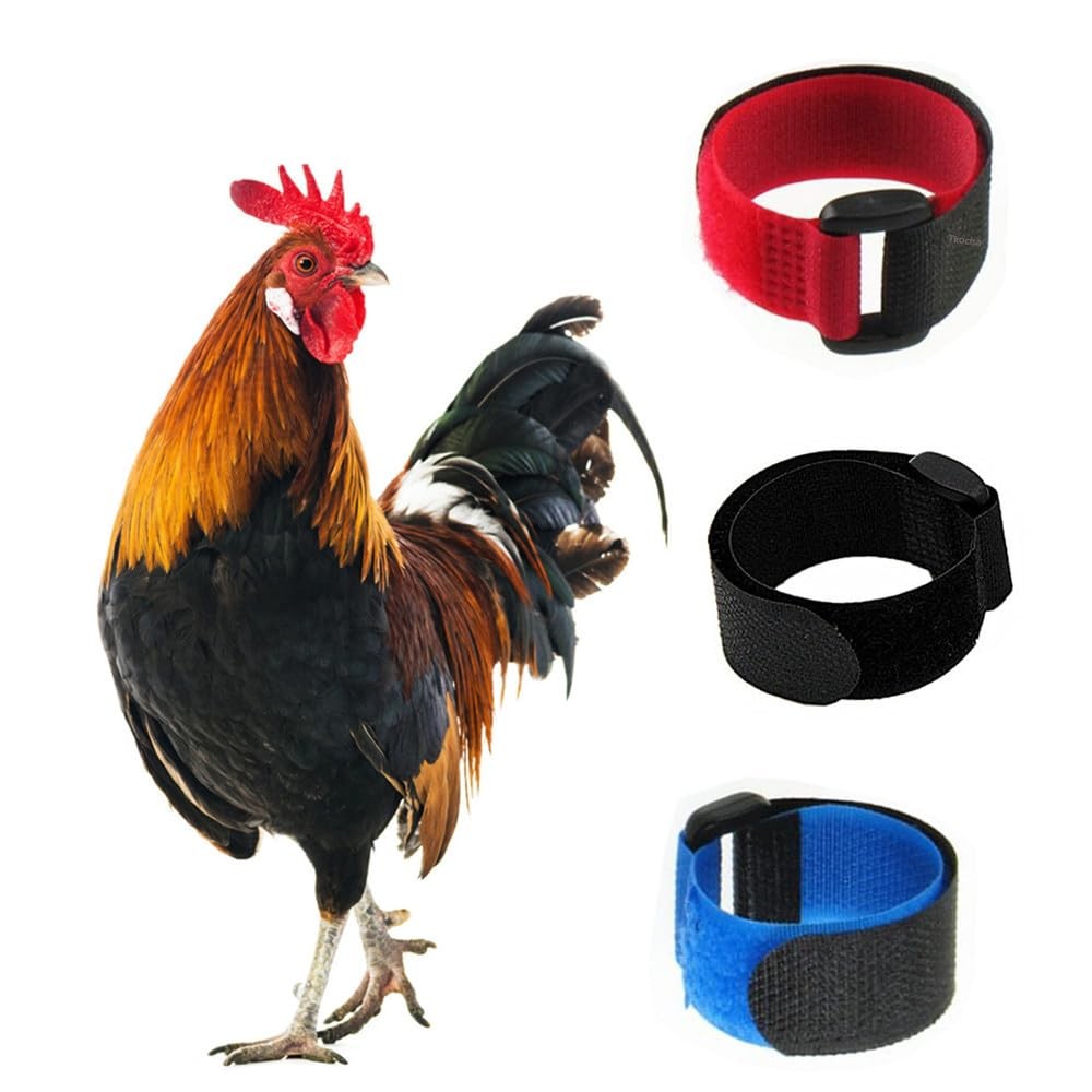 Tkocisa 3 Pack No Crow Rooster Width: 0.79 inch, Length: 7.89 Red