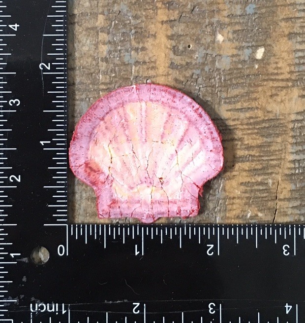 VINTAGE SHELL OIL GAS STATION ADVERTISING CLAMSHELL UNIFORM LOGO PATCH