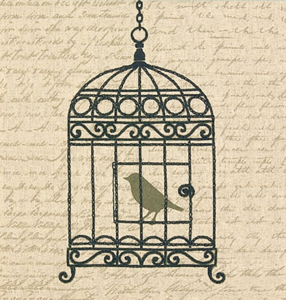 Dimensions Needlecrafts Stamped Embroidery, Vintage Birdcage