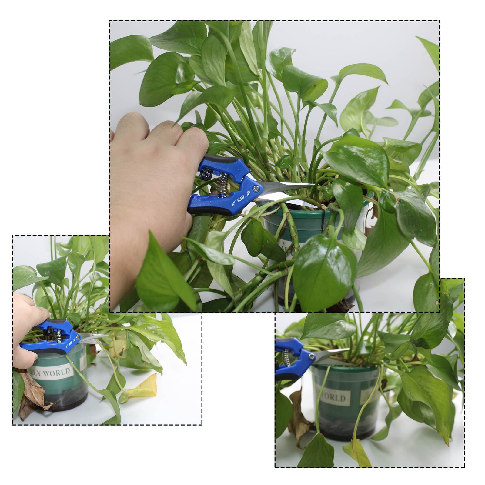HFS 5PC Softouch Micro-Tip Pruning Snip, Leaf Trimmer, ScissorQuick Pruning Snip