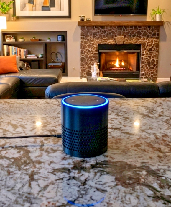 Premium Acoustic Stand & Case for Amazon Echo Dot (2nd Gen) Speaker Holder